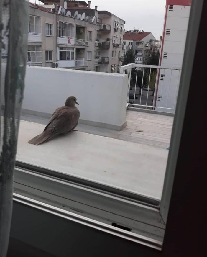 Zuebeyde Hanim Homes Esmirna Exterior foto